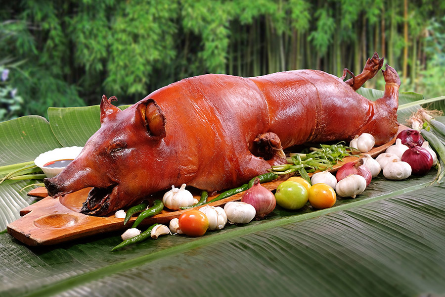Cebu Lechon